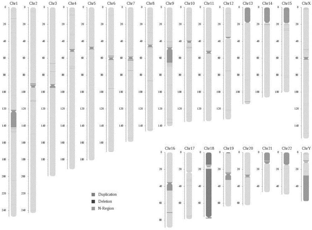 Kit for single cell genome-wide amplification and application thereof