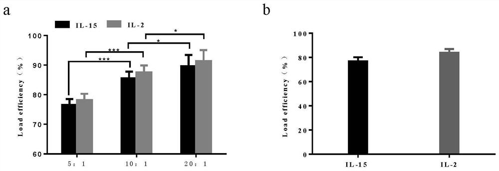 Preparation method and application of NK cell synergistic stimulation polymer micelle