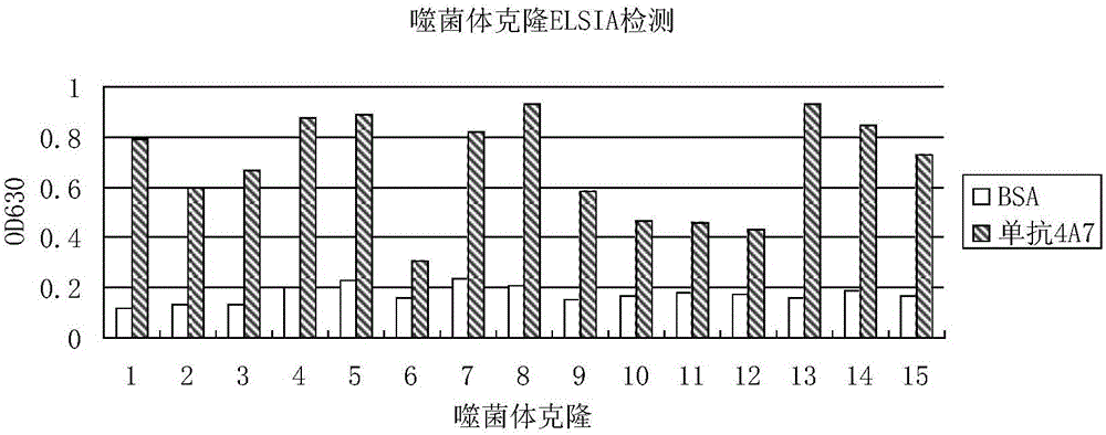 Antigenic epitope simulative peptide of classical swine fever virus (CSFV) E2 protein, and preparation method and application thereof