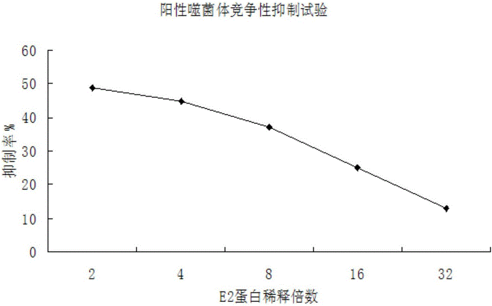 Antigenic epitope simulative peptide of classical swine fever virus (CSFV) E2 protein, and preparation method and application thereof