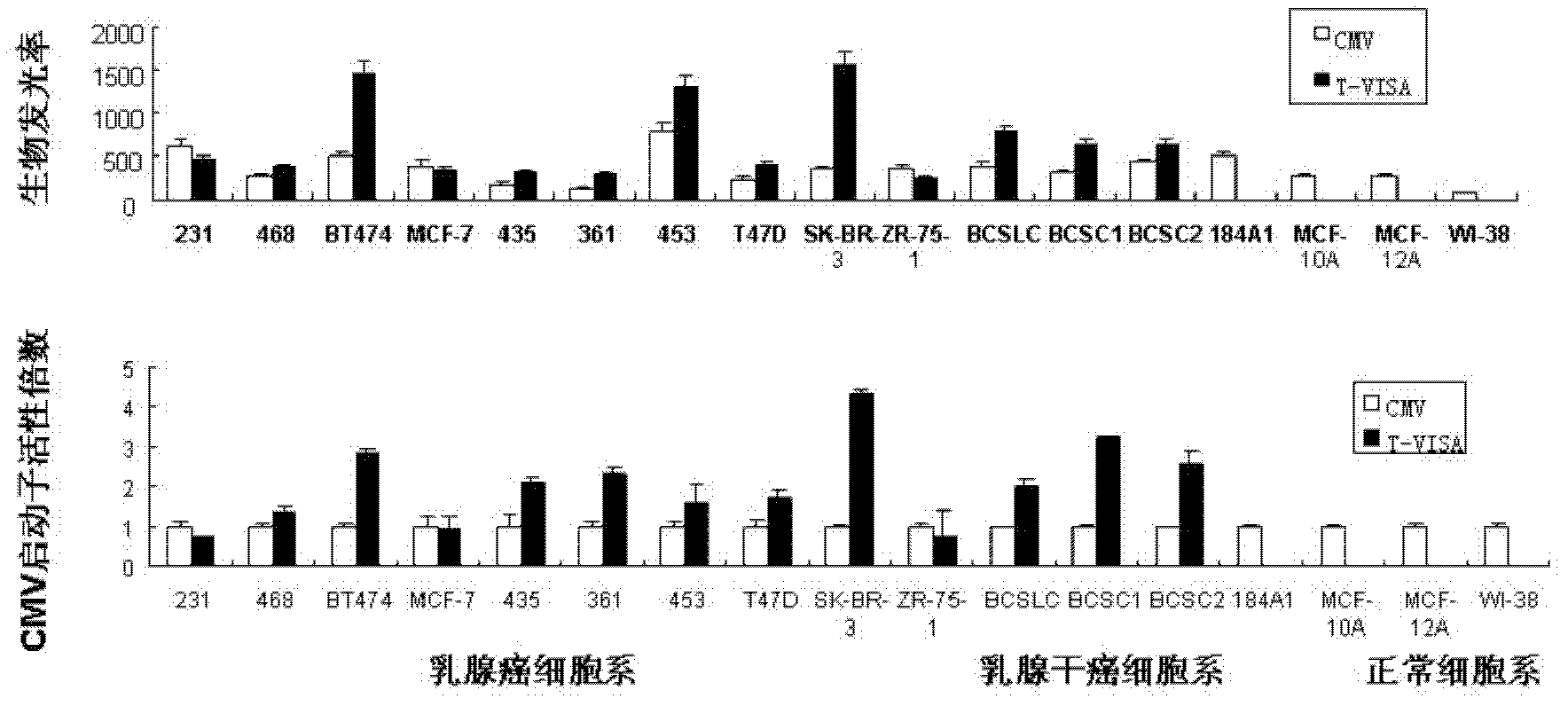 Carrier T-VISA for expressing target genes at high efficiency and high specificity in tumor cells