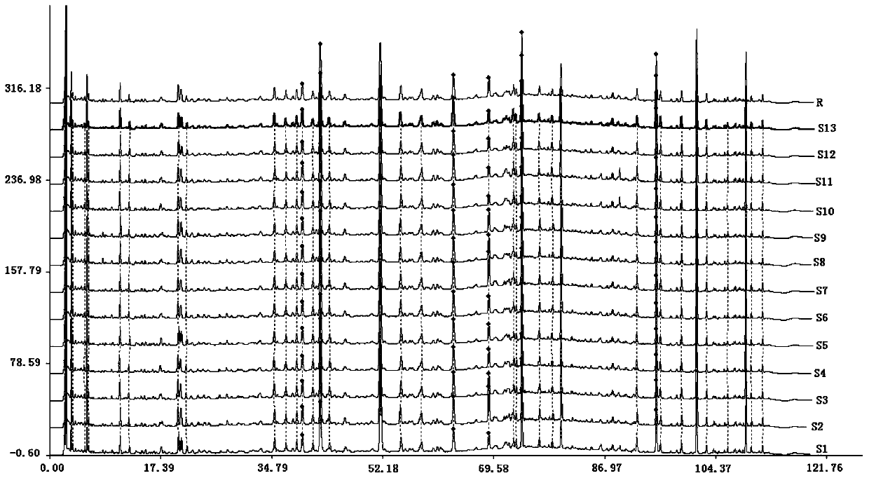 Method for Establishing Fingerprint of Bailemian Capsules