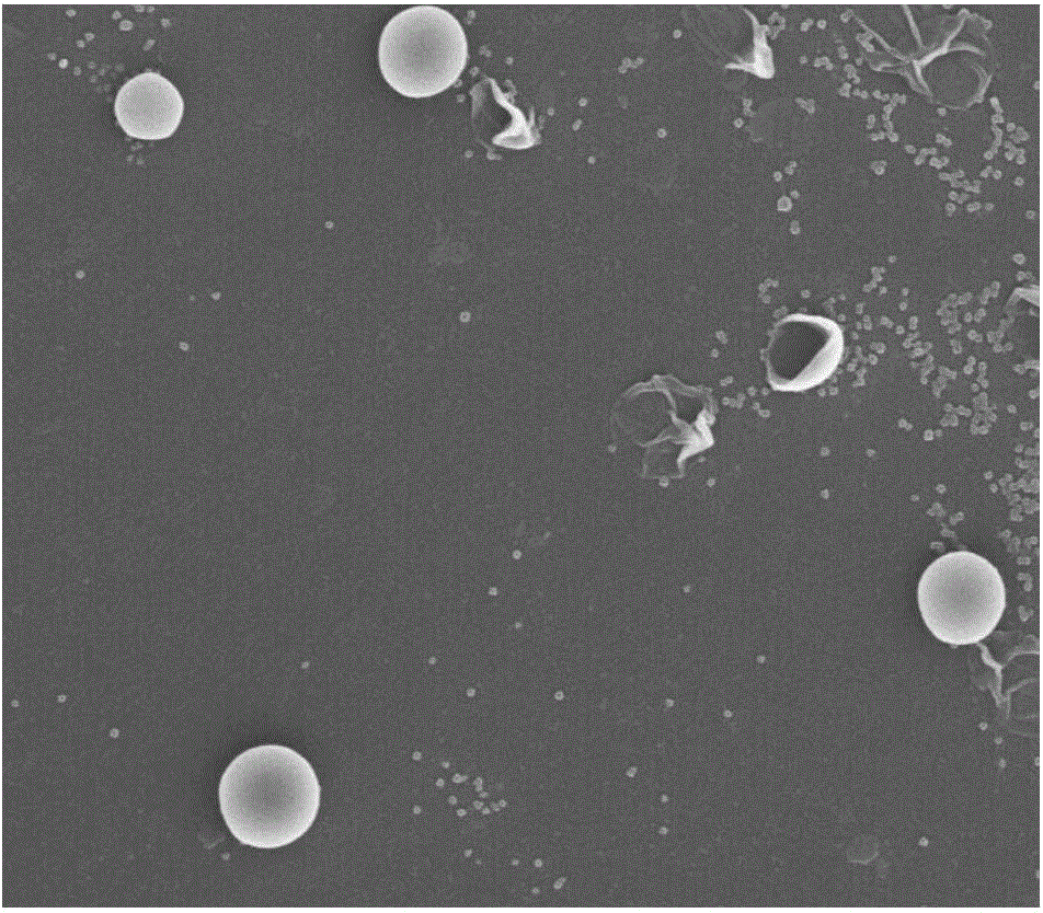 Preparation method of nano-encapsulated phase change material