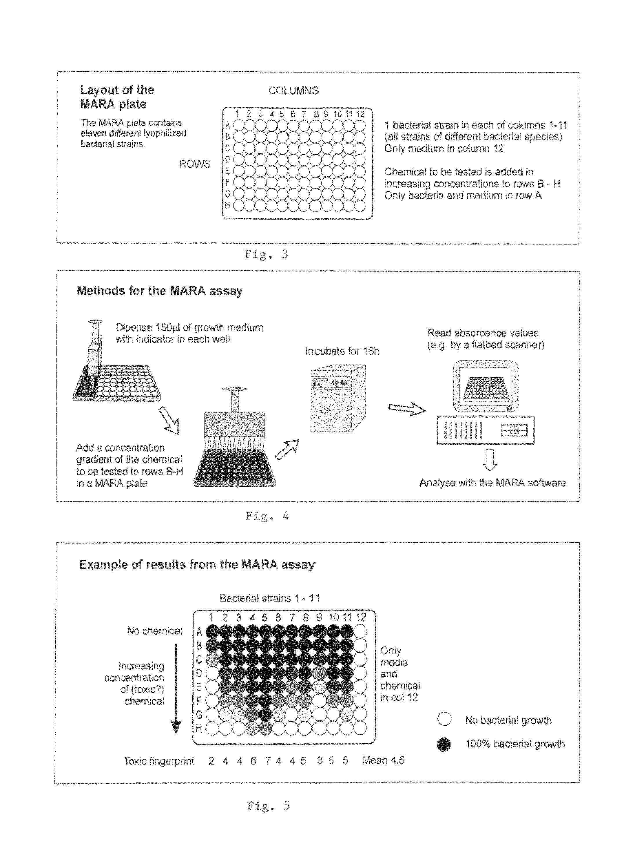 Method for determining the toxicity of an environmental or chemical sample