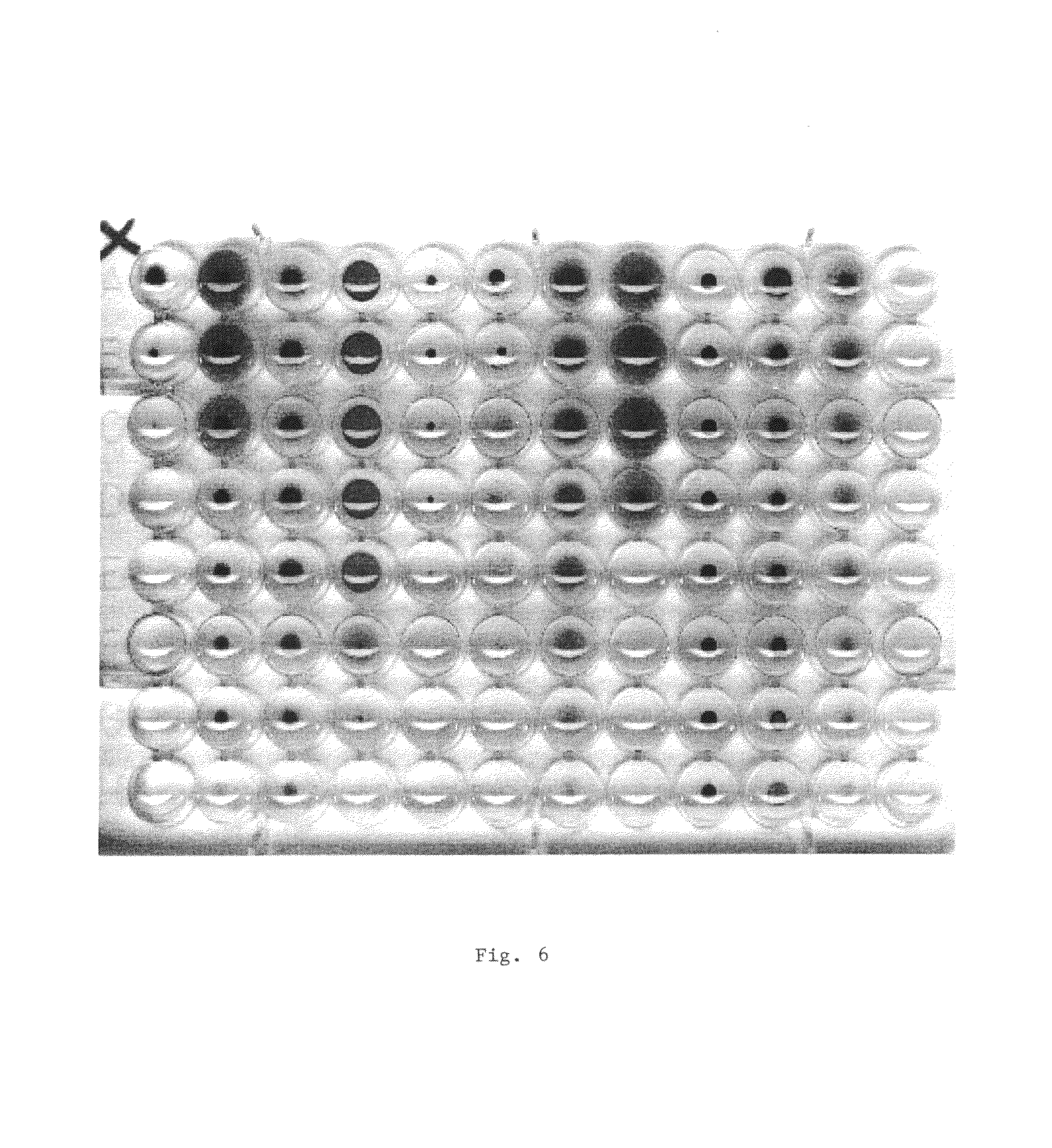 Method for determining the toxicity of an environmental or chemical sample