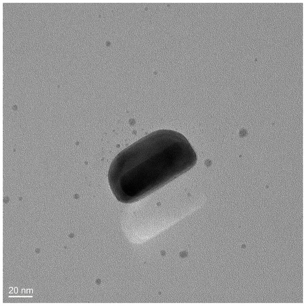 Preparation method of self-assembled flexible SERS (Surface Enhanced Raman Scattering) substrate and application of self-assembled flexible SERS substrate in pesticide residue detection