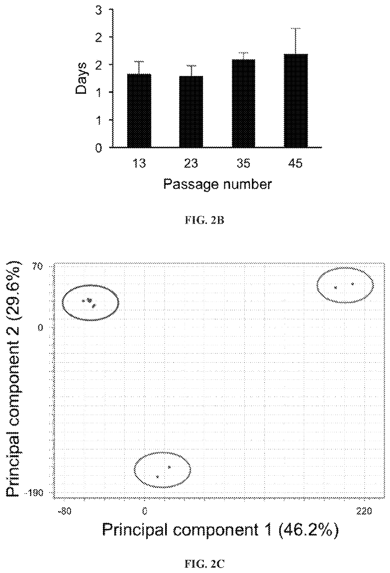 Efficient derivation of stable pluripotent bovine embryonic stem cells