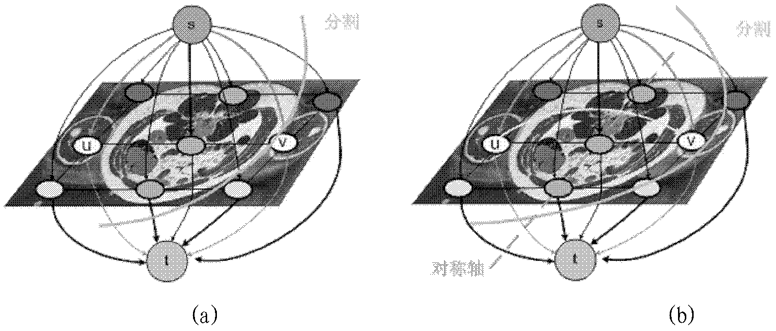 Segmentation method of symmetrical organs in medical image