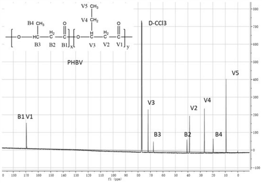 Rhodococcus pyridinivorans and application thereof in production of PHBV