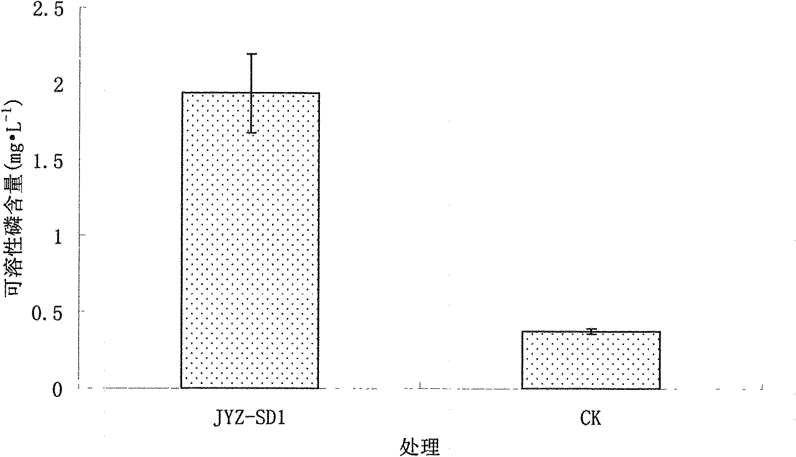 Bacillus cereus and application thereof in promoting growth of poplars