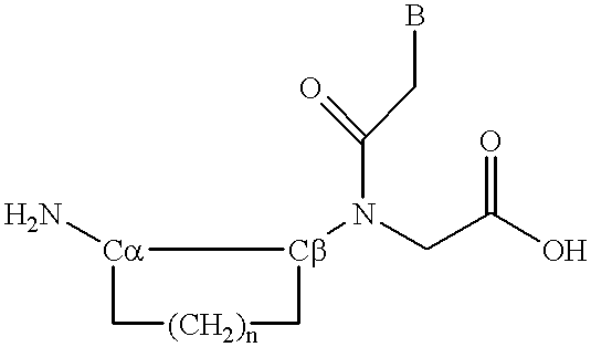 Peptide nucleic acid incorporating a chiral backbone