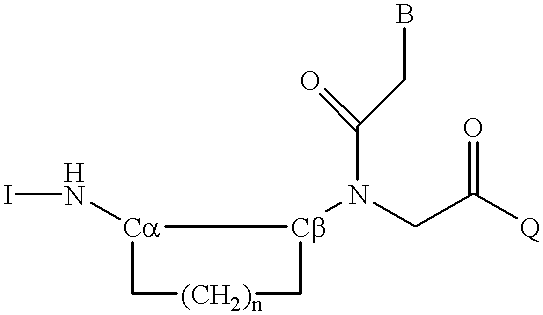 Peptide nucleic acid incorporating a chiral backbone