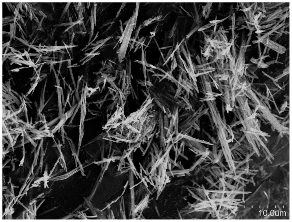 Molybdenum-based electrocatalyst, preparation method of molybdenum-based electrocatalyst, difunctional electrolytic tank and application of difunctional electrolytic tank