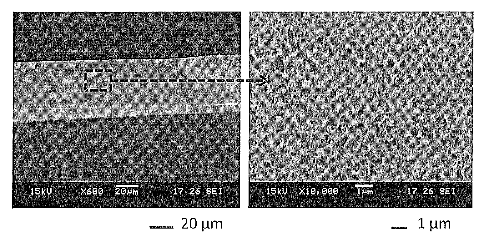 Composite membranes comprising a sulfonated polyarylether and their use in forward osmosis processes