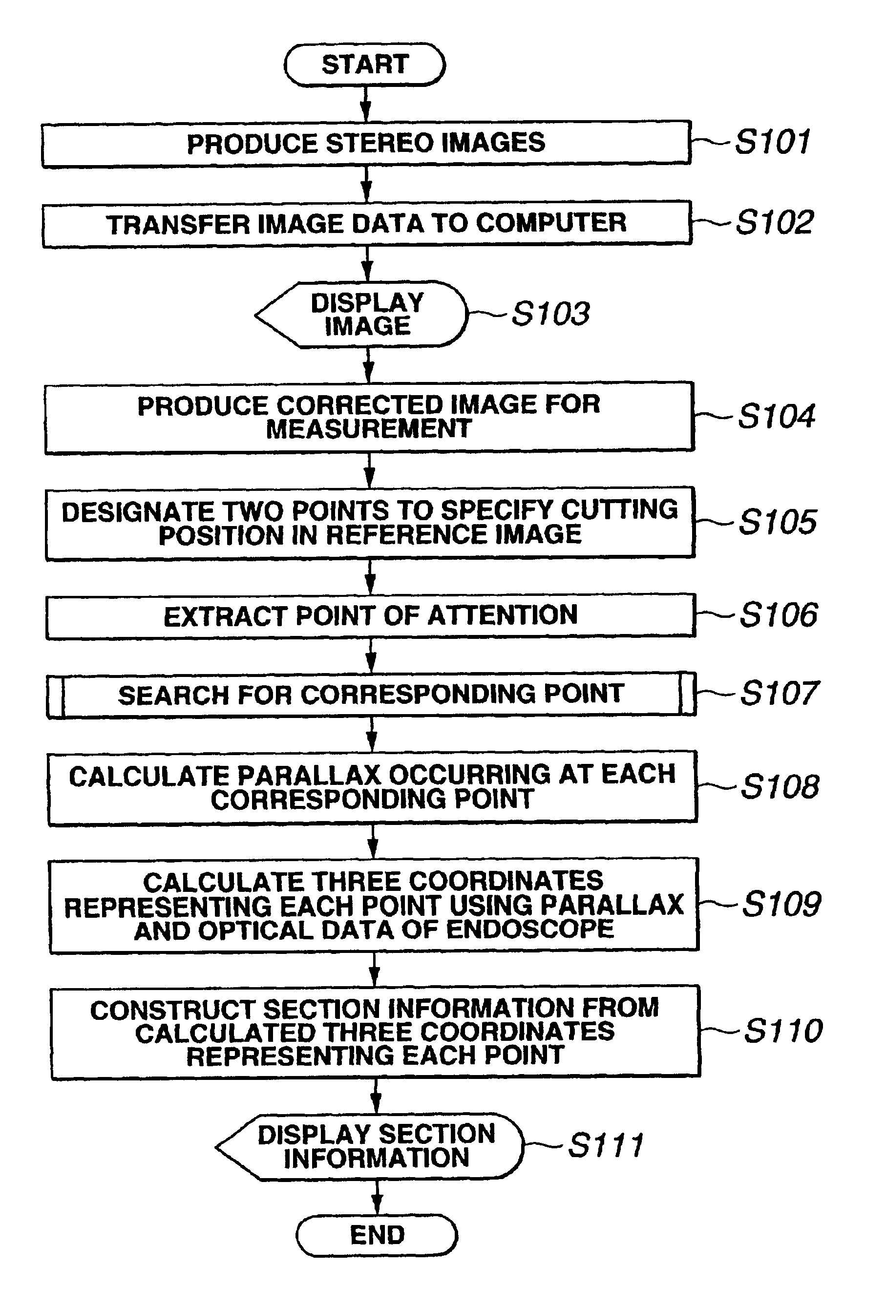 Endoscope apparatus