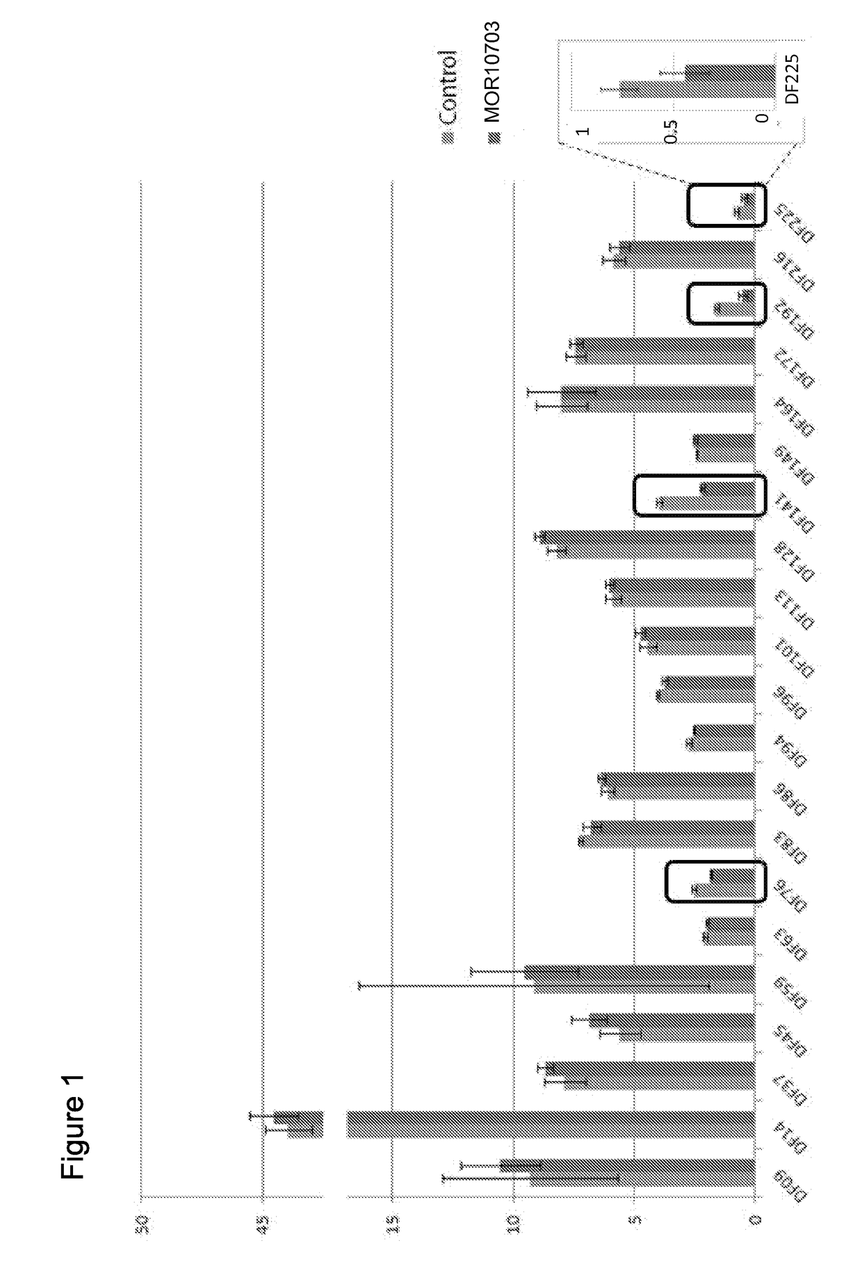 HER3 Inhibition in Low-grade Serous Ovarian Cancers