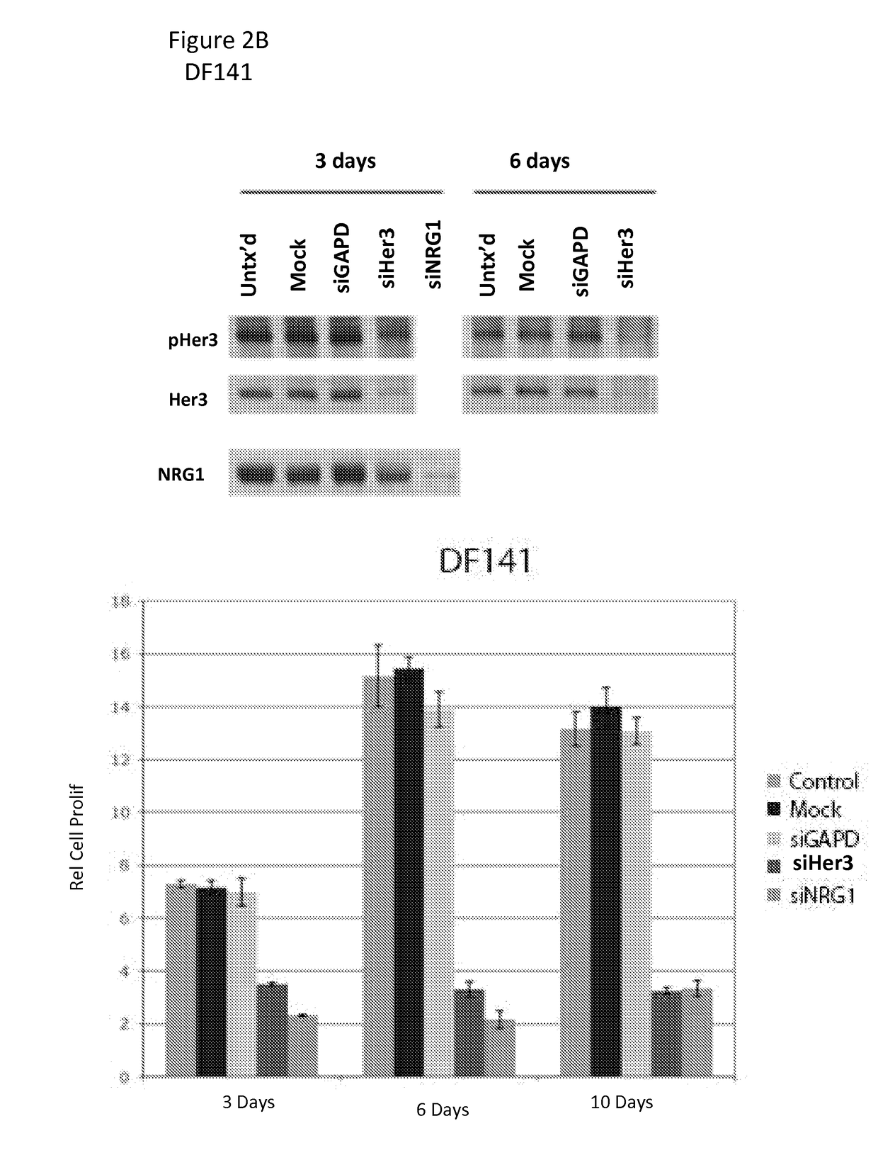 HER3 Inhibition in Low-grade Serous Ovarian Cancers