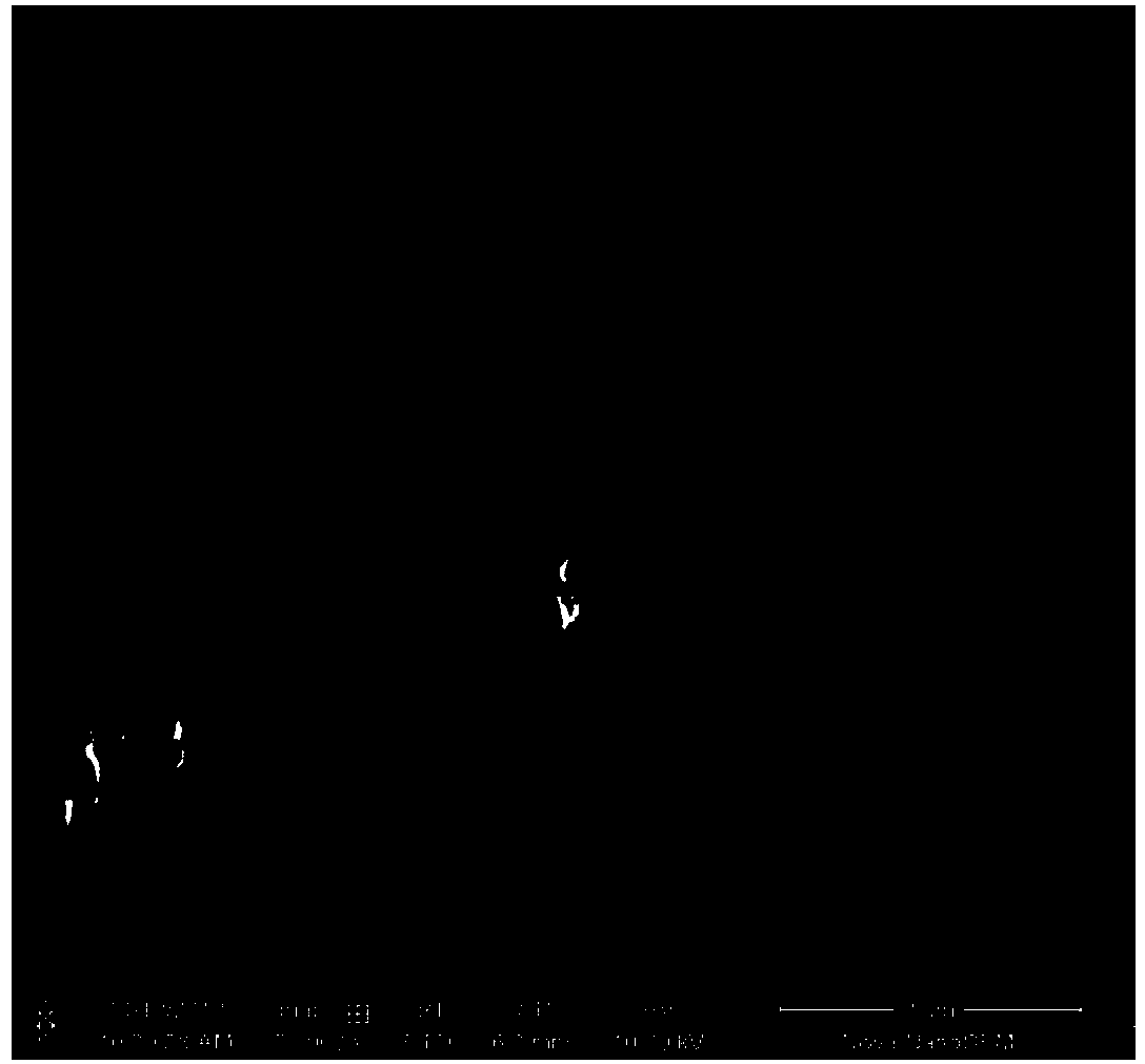 Core-shell structure copper nanoparticle and preparation method thereof