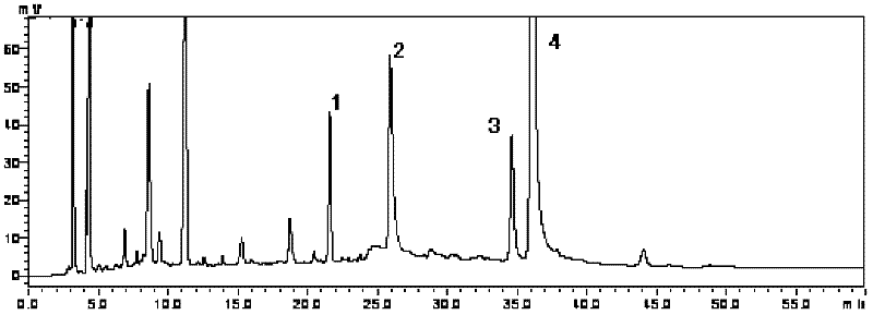 Barberry bark extractive and use of barberry bark extractive and barberry bark