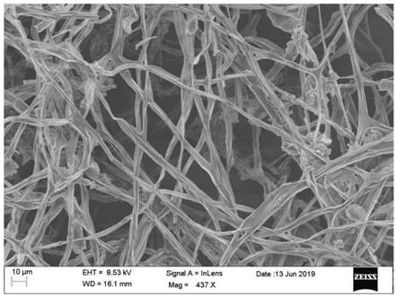 Microbial enrichment preparation method of hypha-based doped supercapacitor material