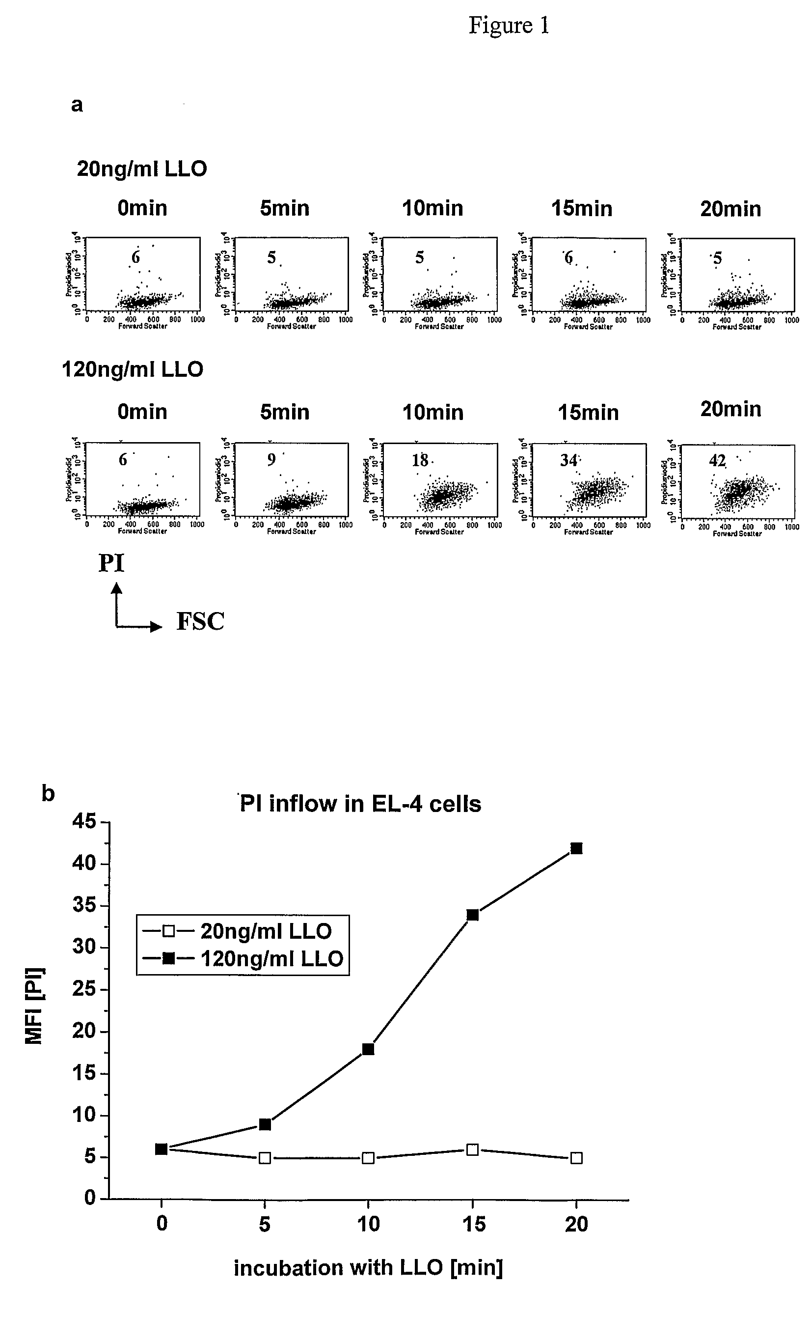 Method for the Delivery of Exogenous Antigens into the Mhc Class I Presentation Pathway of Cells