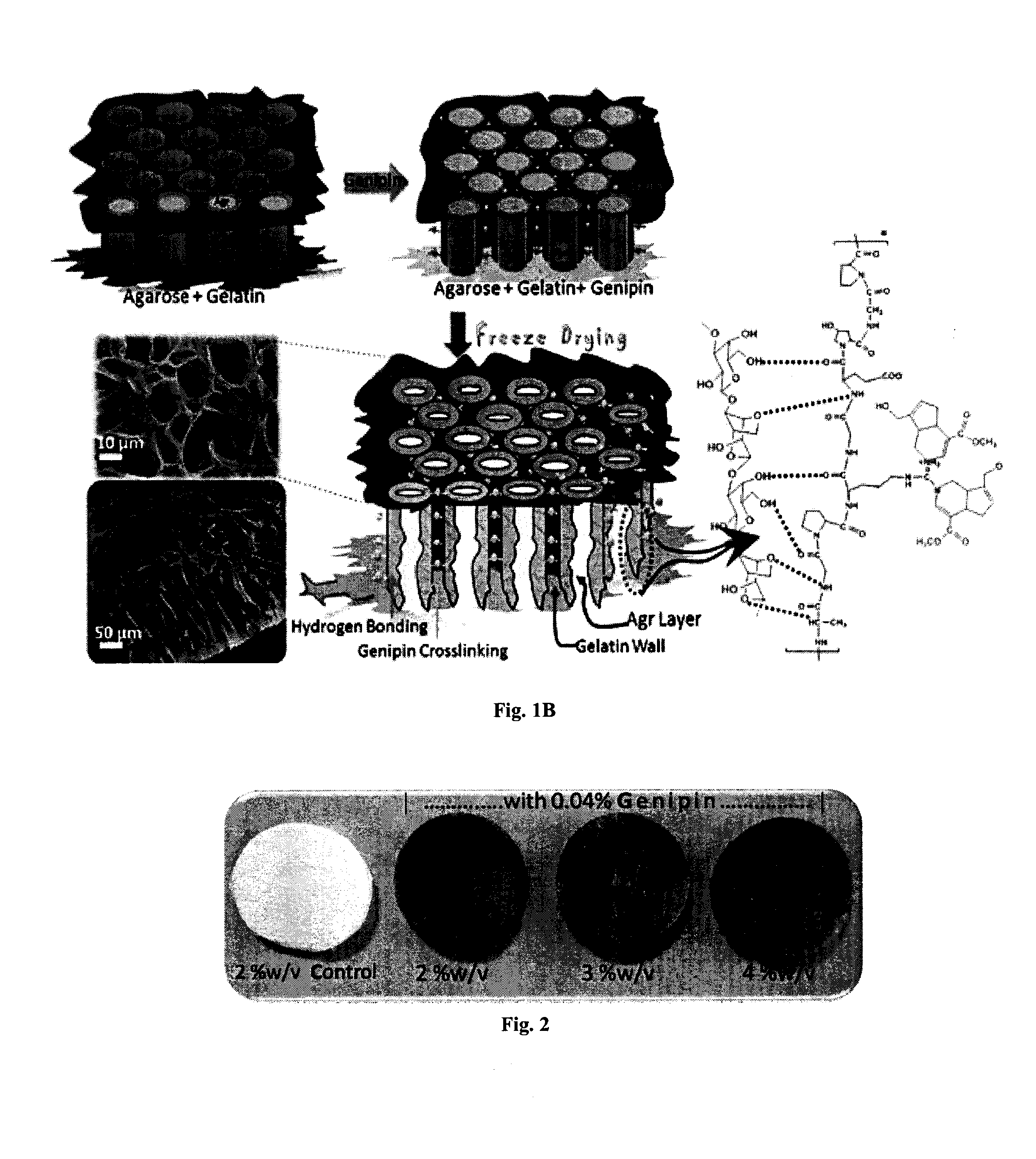 Seaweed Polysaccharide Based Superhydrophilic Foam Membrane for Energy-Efficient Oil-Water Separation