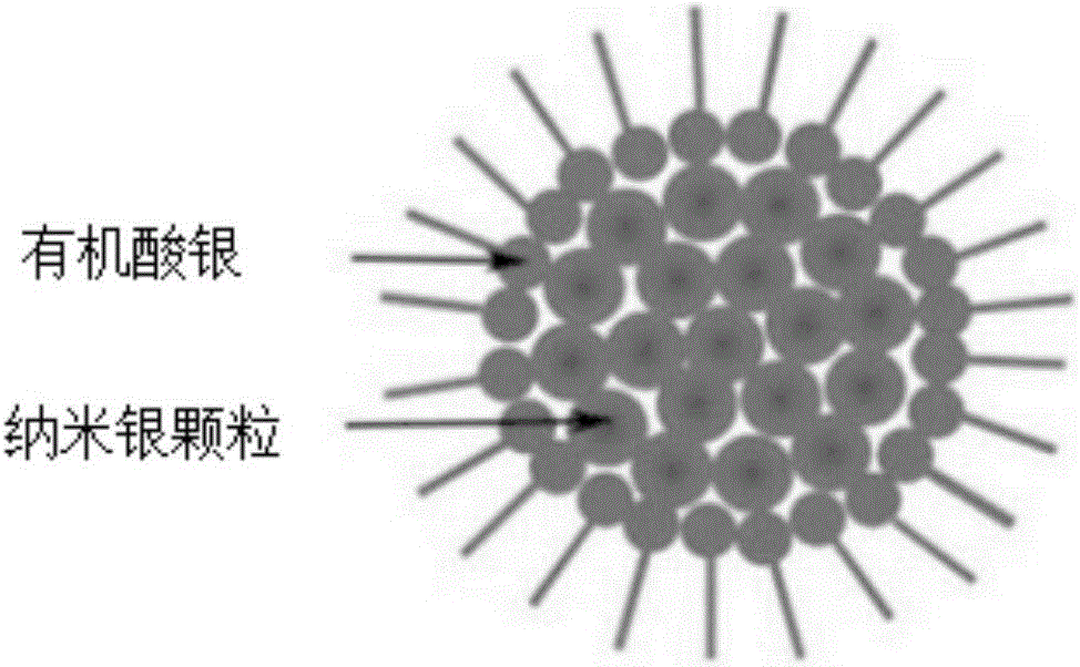 Silver nano-particle coated by organic acid silver, method for preparing silver nano-particle and application thereof