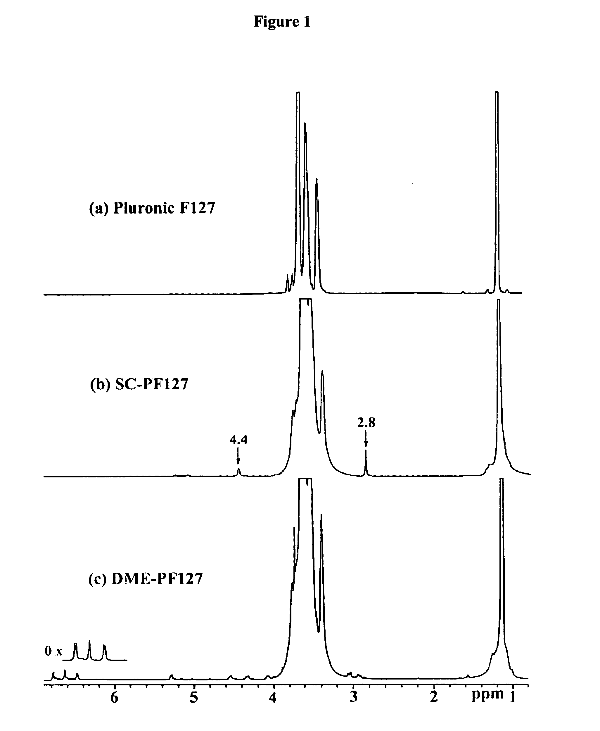 Polymeric compositions and related methods of use