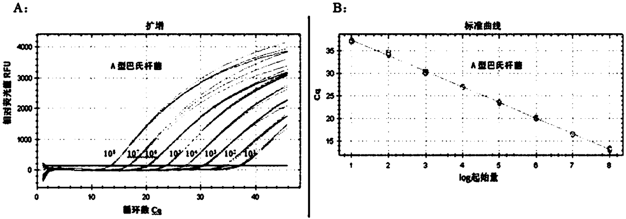 Primer and probe for identifying dual real-time fluorescence quantitative PCR (polymerase chain reaction) of A type and B type cattle pasteurella multocida and detection method