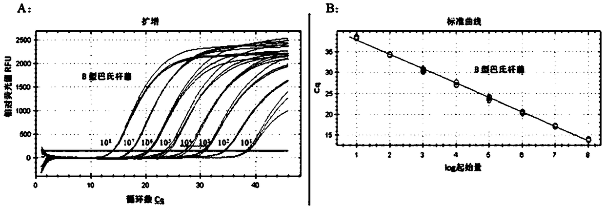 Primer and probe for identifying dual real-time fluorescence quantitative PCR (polymerase chain reaction) of A type and B type cattle pasteurella multocida and detection method