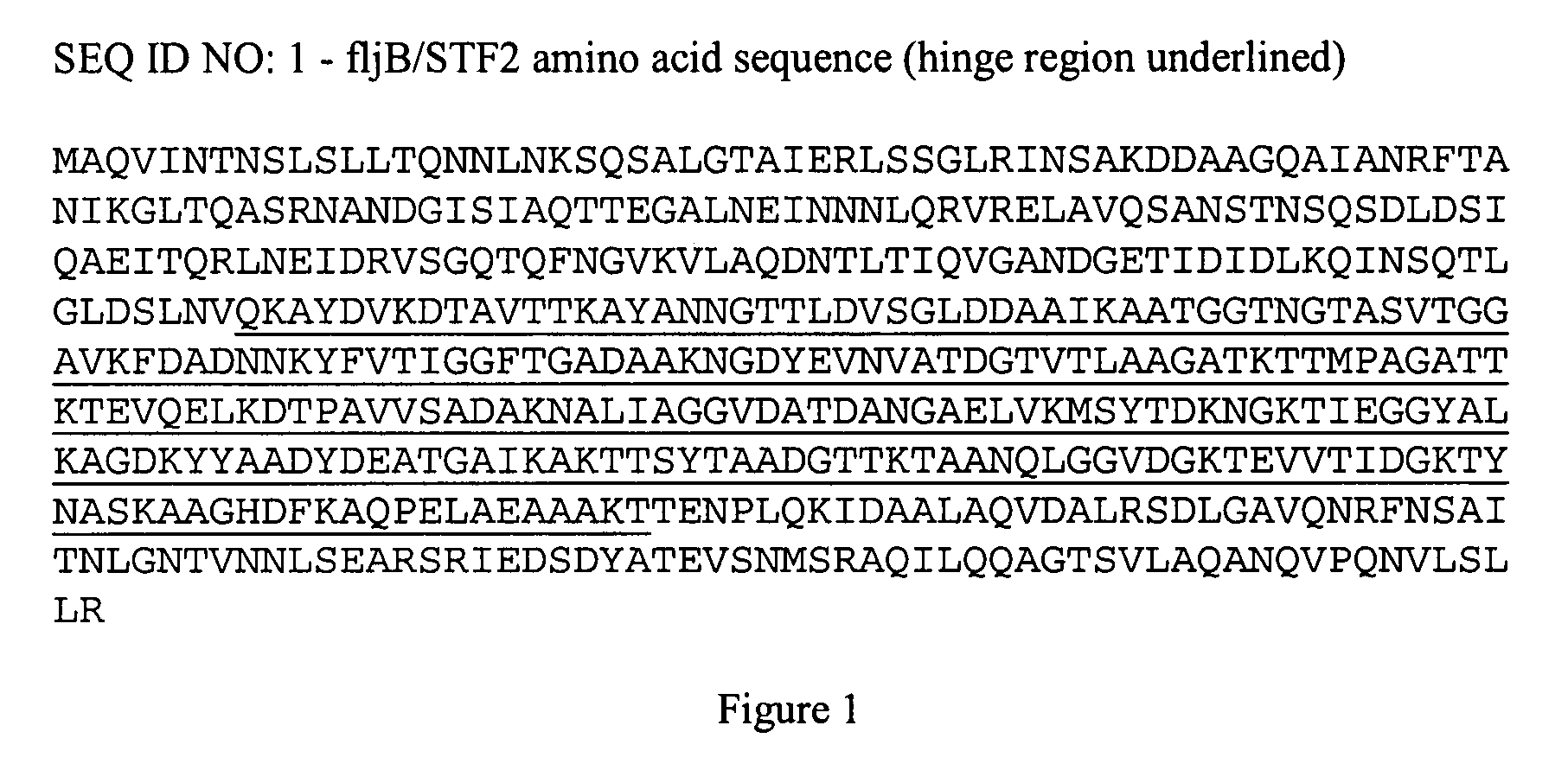 Fusion proteins comprising flagellin and dengue viral envelope proteins