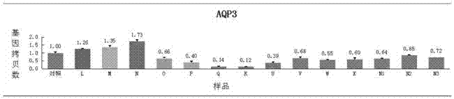 Traditional Chinese medicine composition, and preparation method and applications thereof