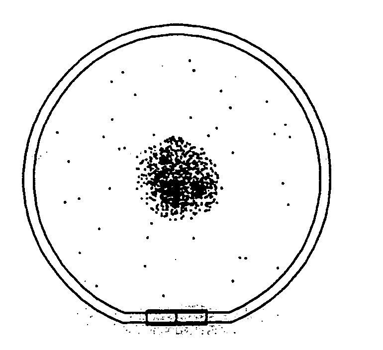 Silicon wafers and method of fabricating the same