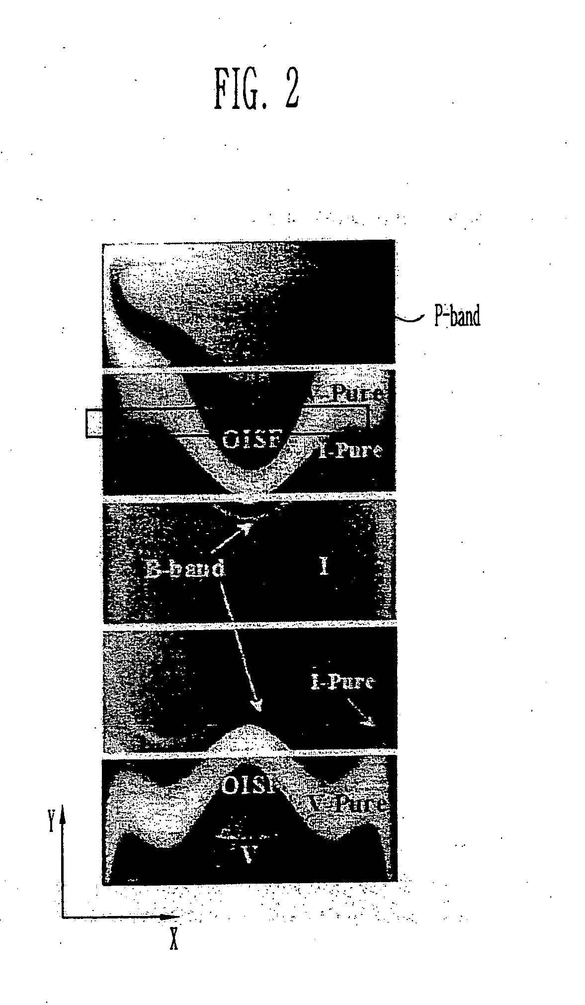 Silicon wafers and method of fabricating the same