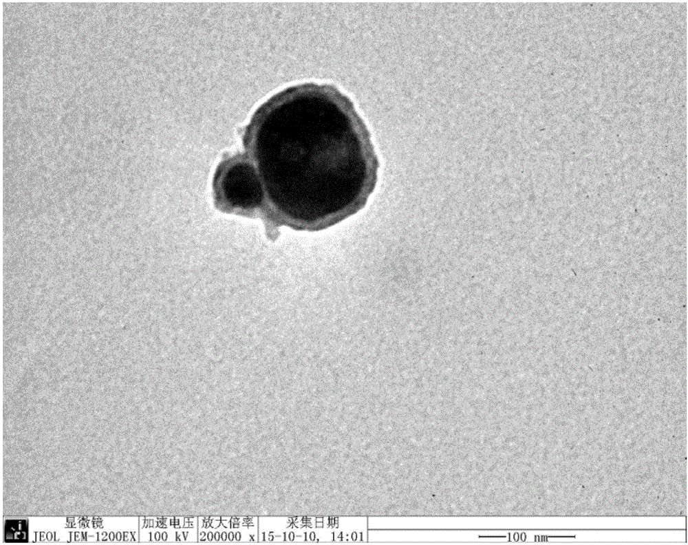 Polymer-based hyperbranched metal phthalocyanine@nano-barium titanate composite material as well as preparation method and application thereof