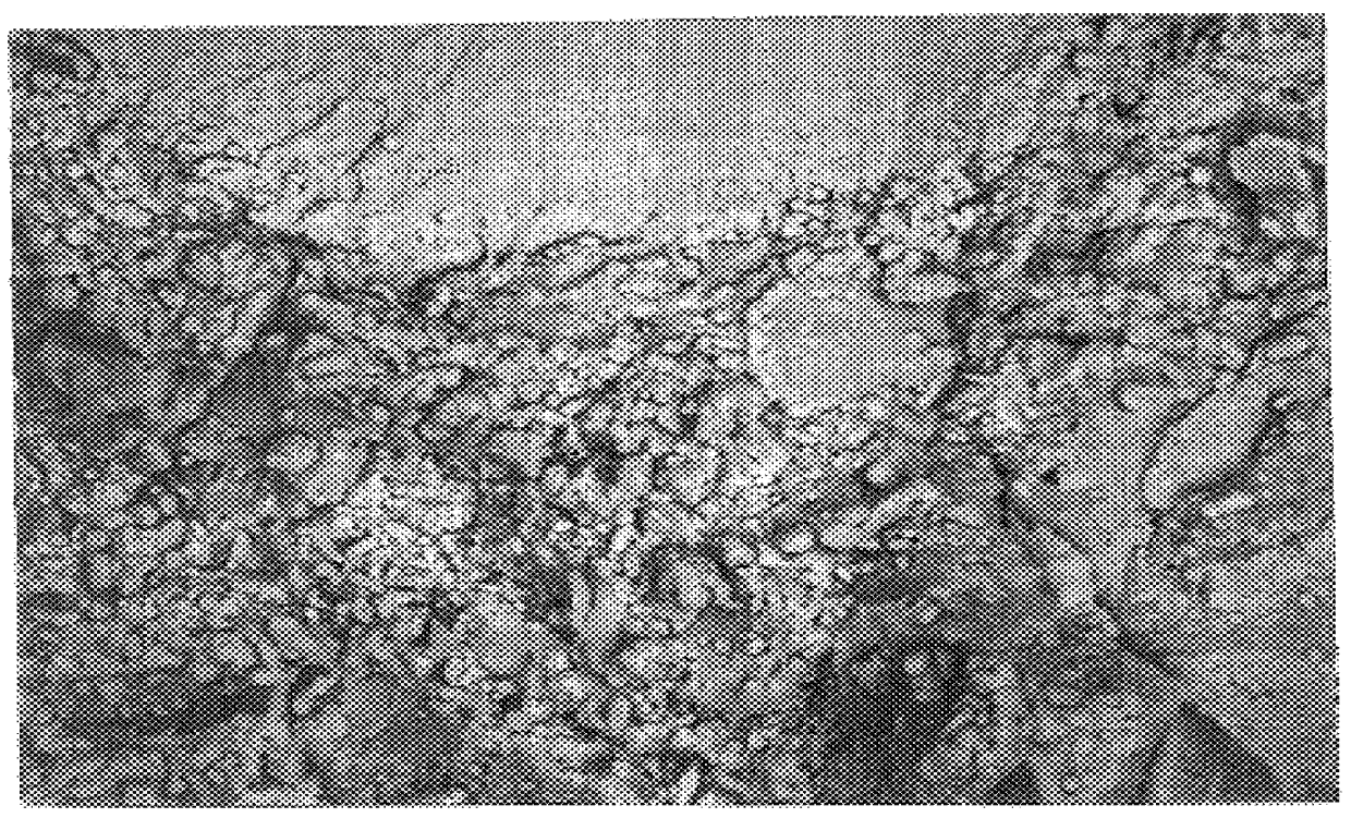 Method of making building blocks from coal combustion waste and related products