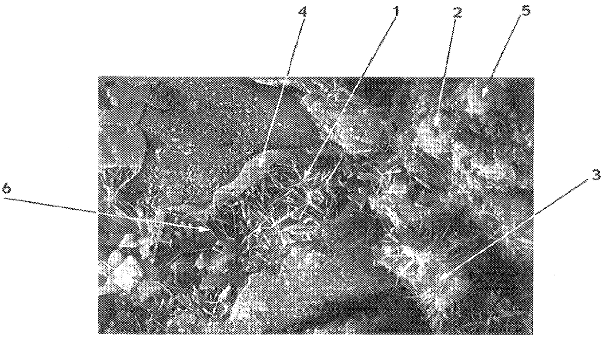 Method of making building blocks from coal combustion waste and related products