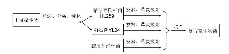 Bio-control bio-organic fertilizer and production method thereof