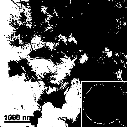 Preparation method of graphene oxide and magnetic mesoporous silica composite material capable of adsorbing pollutants in water