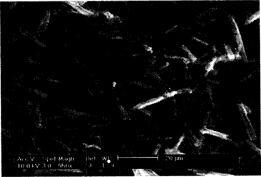 Process for preparing micropowdered salbutamol sulfate