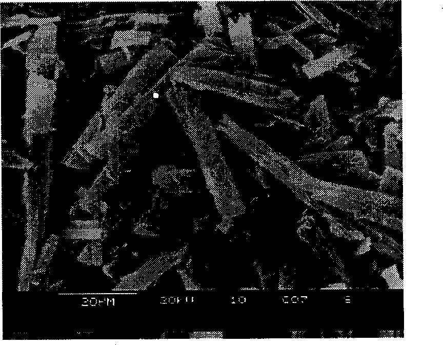 Process for preparing micropowdered salbutamol sulfate