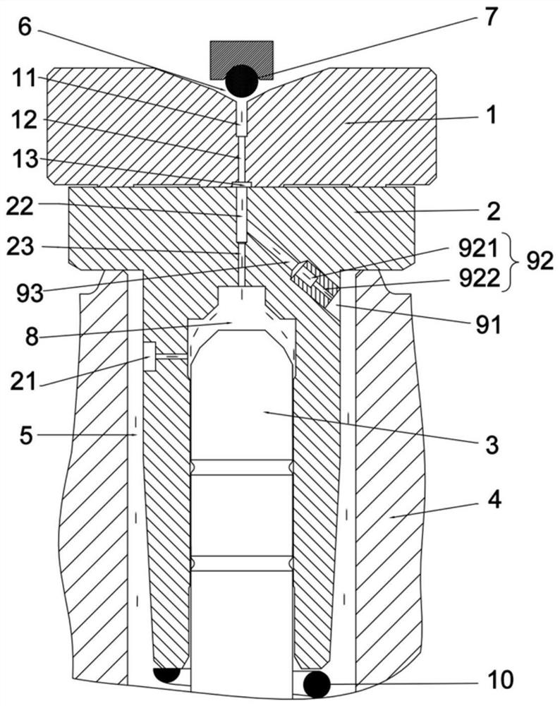 A kind of fuel injection valve and diesel engine