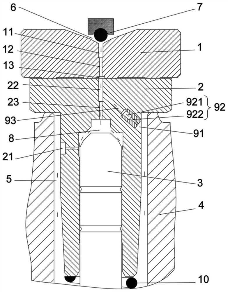 A kind of fuel injection valve and diesel engine