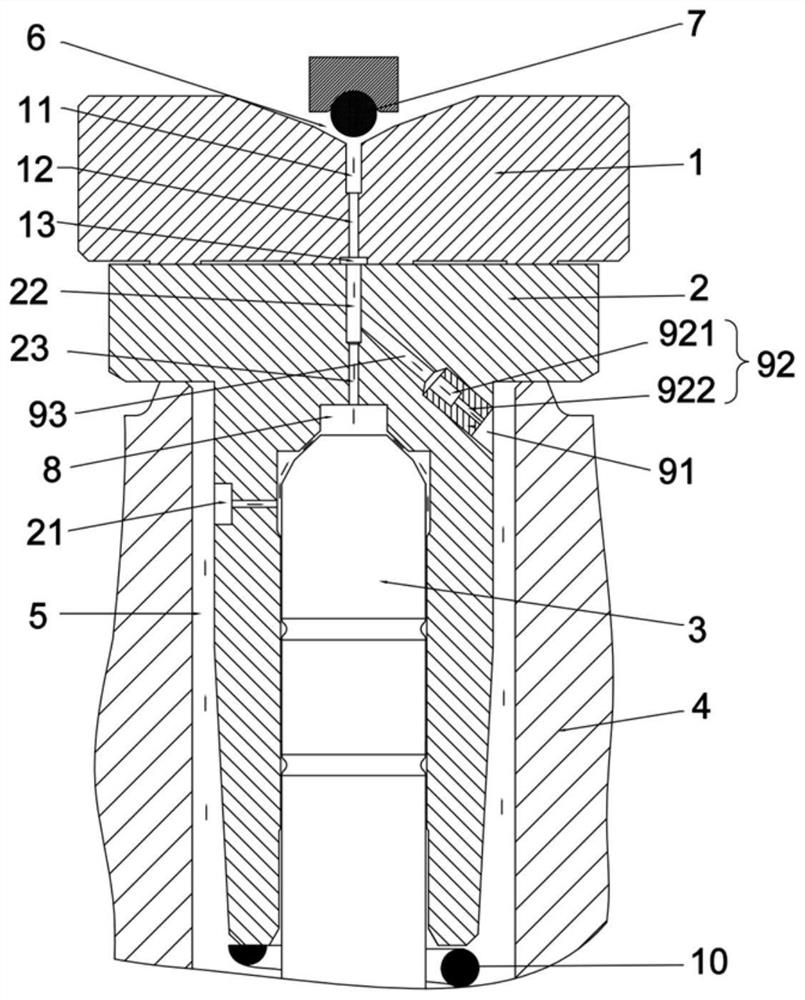 A kind of fuel injection valve and diesel engine