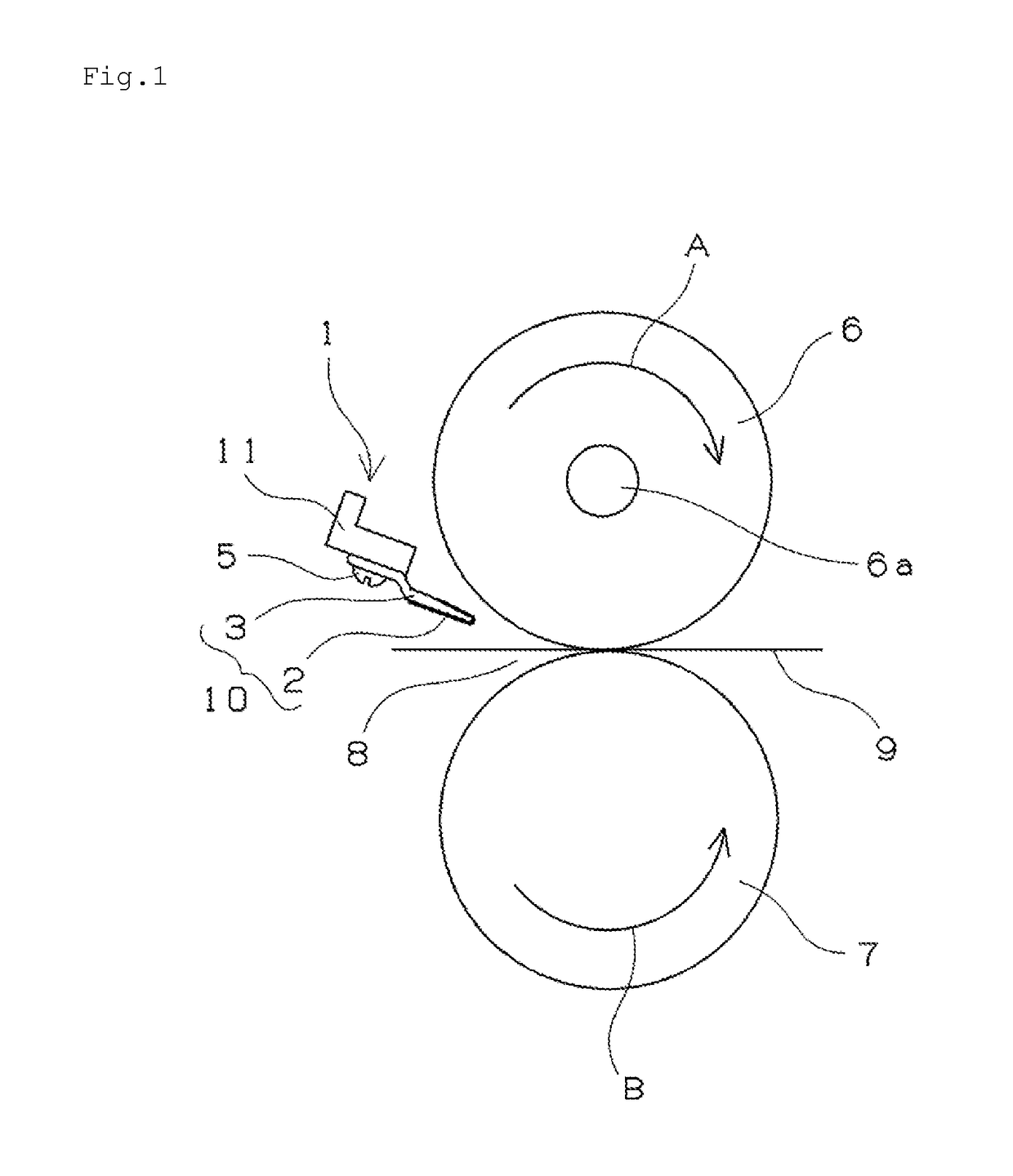 Peeling member and peeling device