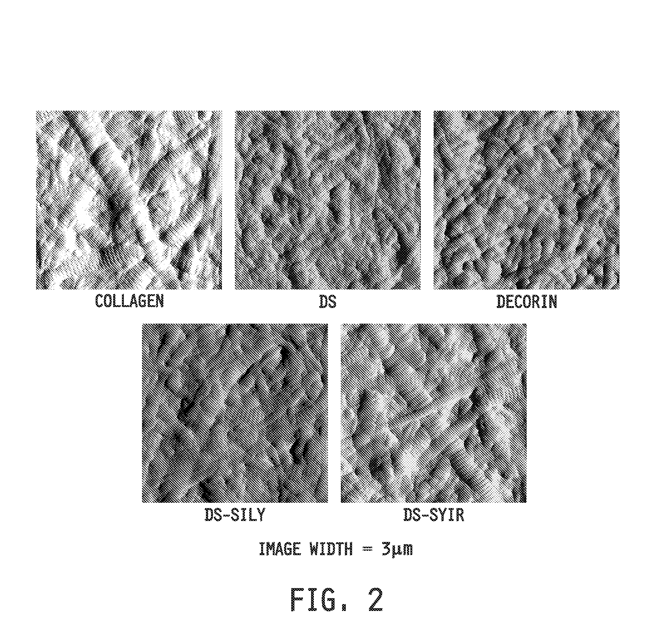 Collagen-binding synthetic peptidoglycans for use in vascular intervention