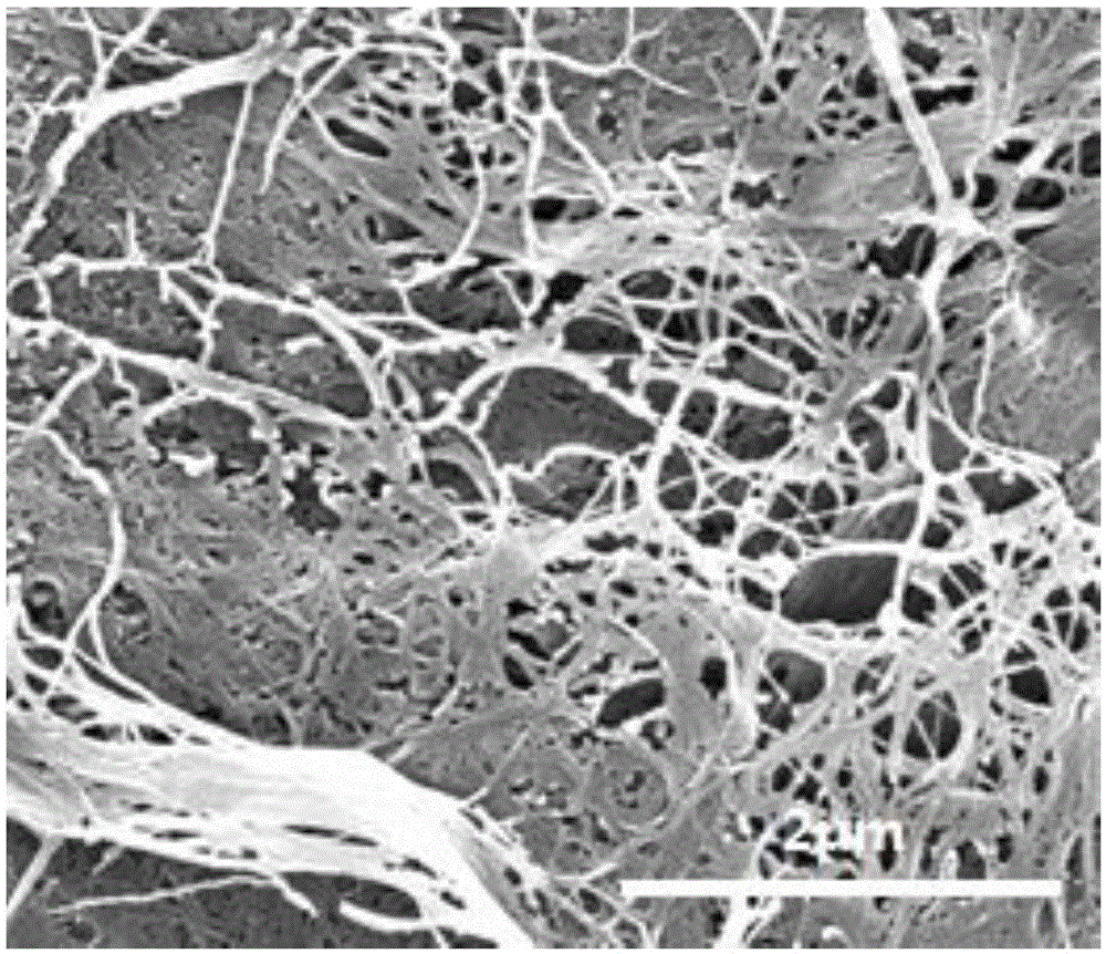 Preparing method of nanometer active carbon fiber