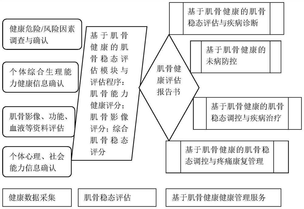 Human body muscle-bone steady state assessment and health management service system