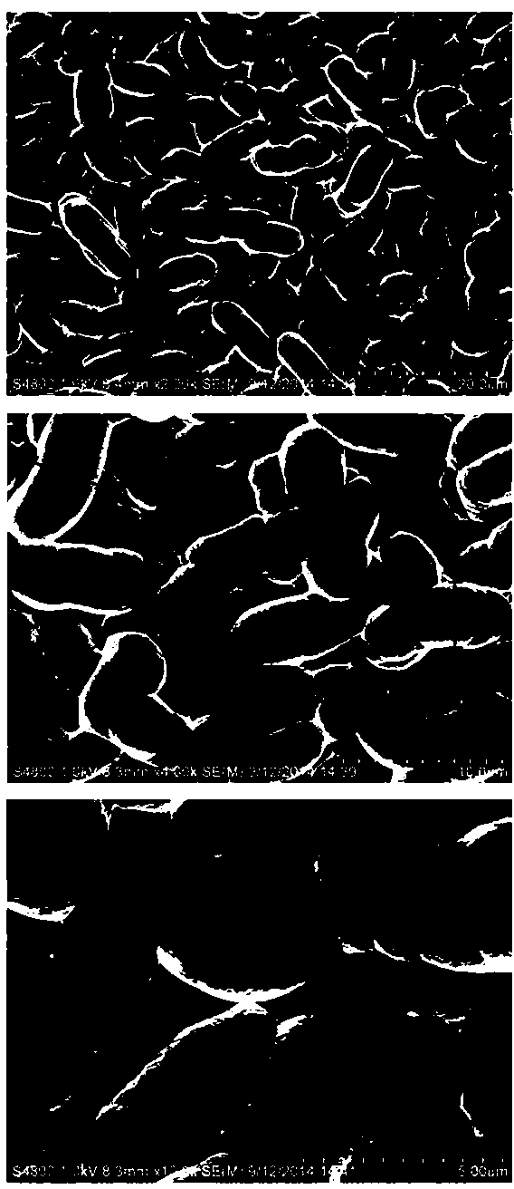 Acid texturing additive for polysilicon film and use method thereof