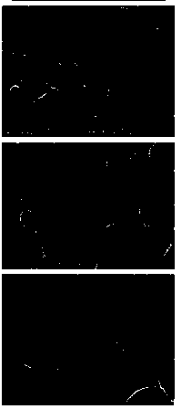 Acid texturing additive for polysilicon film and use method thereof